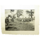 Photo of the Red Army POWs near Wyasma 